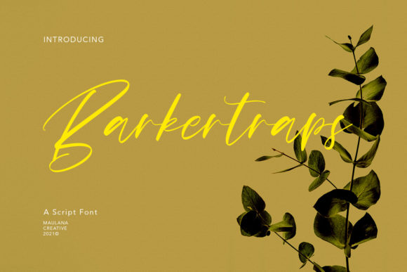 Barkertraps: The Elegant Script Font for Branding