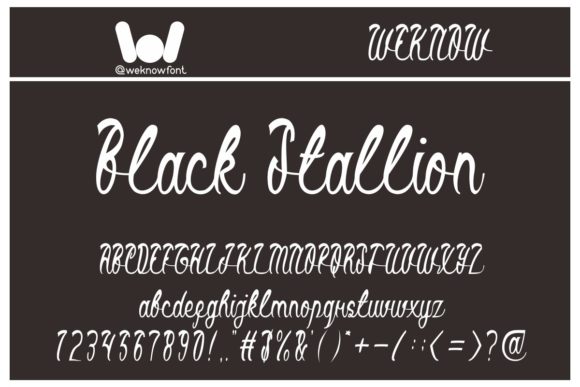Black Stallion Font: A Designer’s Branding Story