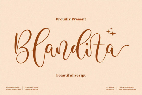 Blandita: A Handwritten Font for Modern Campaigns