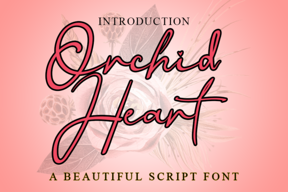Orchid Heart Font: A Web Designer’s Review