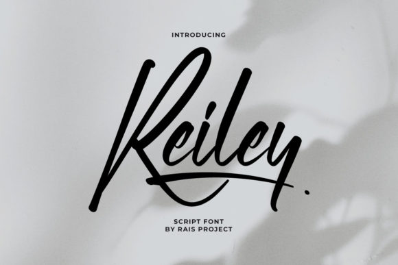 Reiley Font: Elevate Your Campaign Visuals
